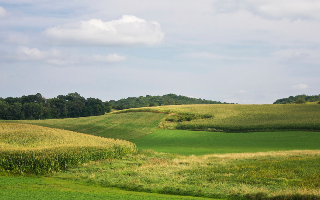 How to Finance Land in Northern Minnesota
