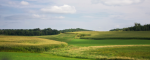 With branch locations in Cloquet, Moose Lake, and Floodwood, our local expertise and tailored loan options make us the perfect partner for your land financing needs.