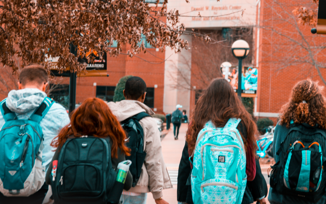 Understanding Student Loans: How They Work and What You Need to Know